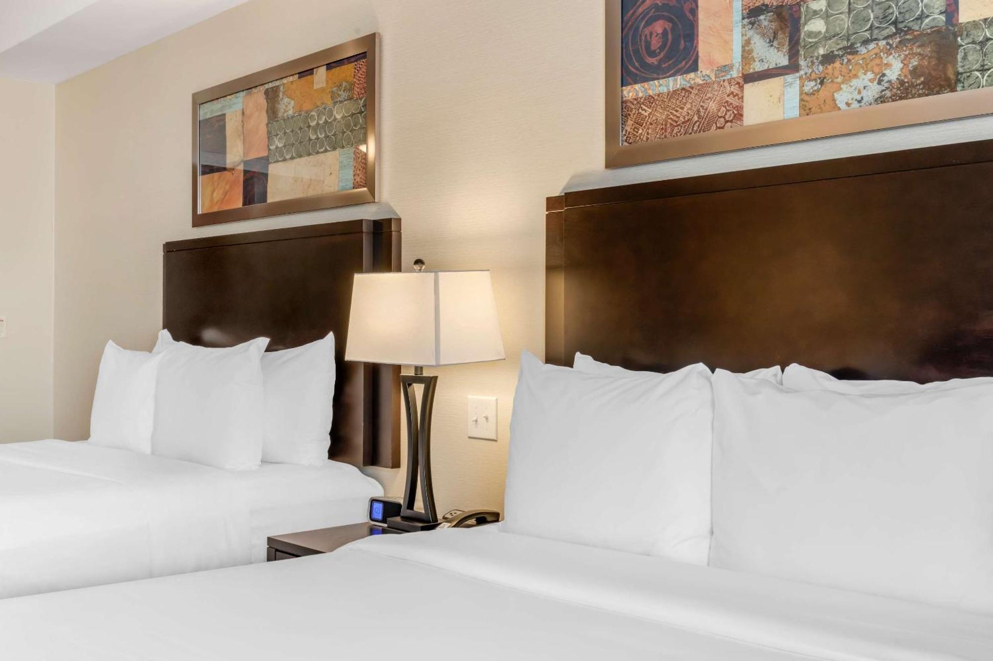 Comfort Hotel Bayer'S Lake Timberlea Extérieur photo